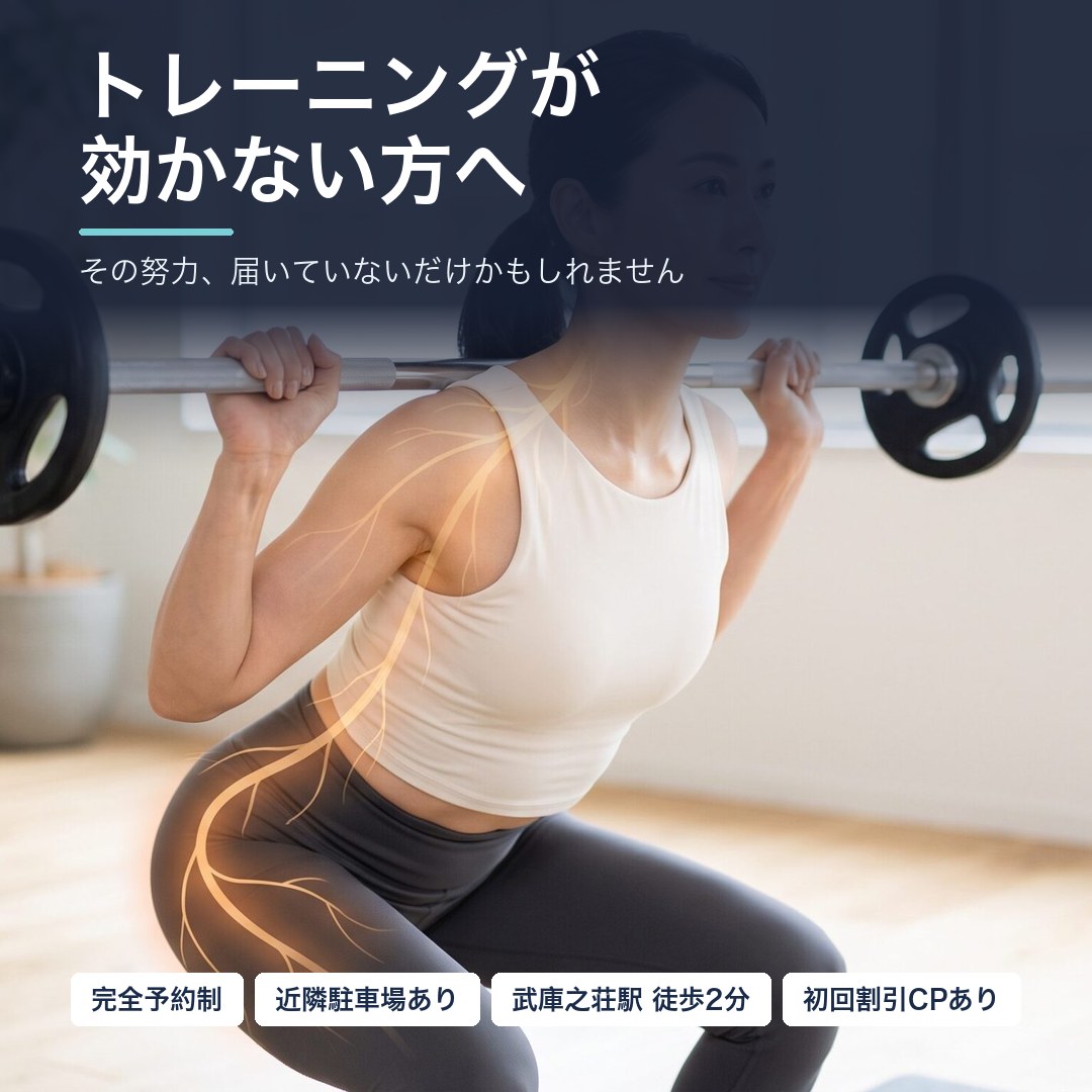 トレーニングが効かない方へ|バーベルスクワットを行う40代女性と運動神経の指令経路